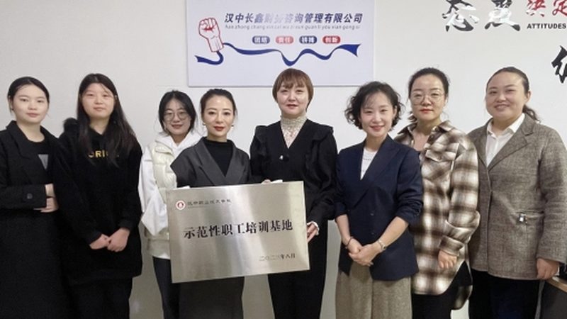 管理体系咨询：揭秘其优缺点，助力企业高效决策**