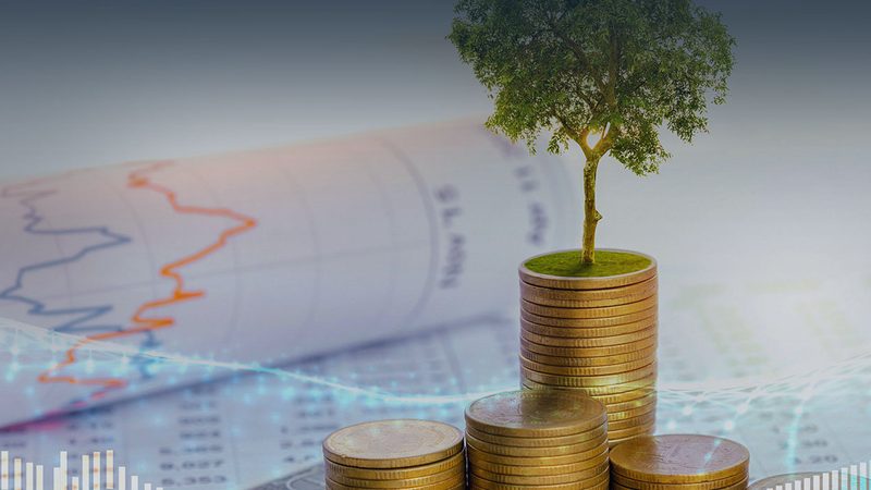 年度战略咨询报价，到底在买什么